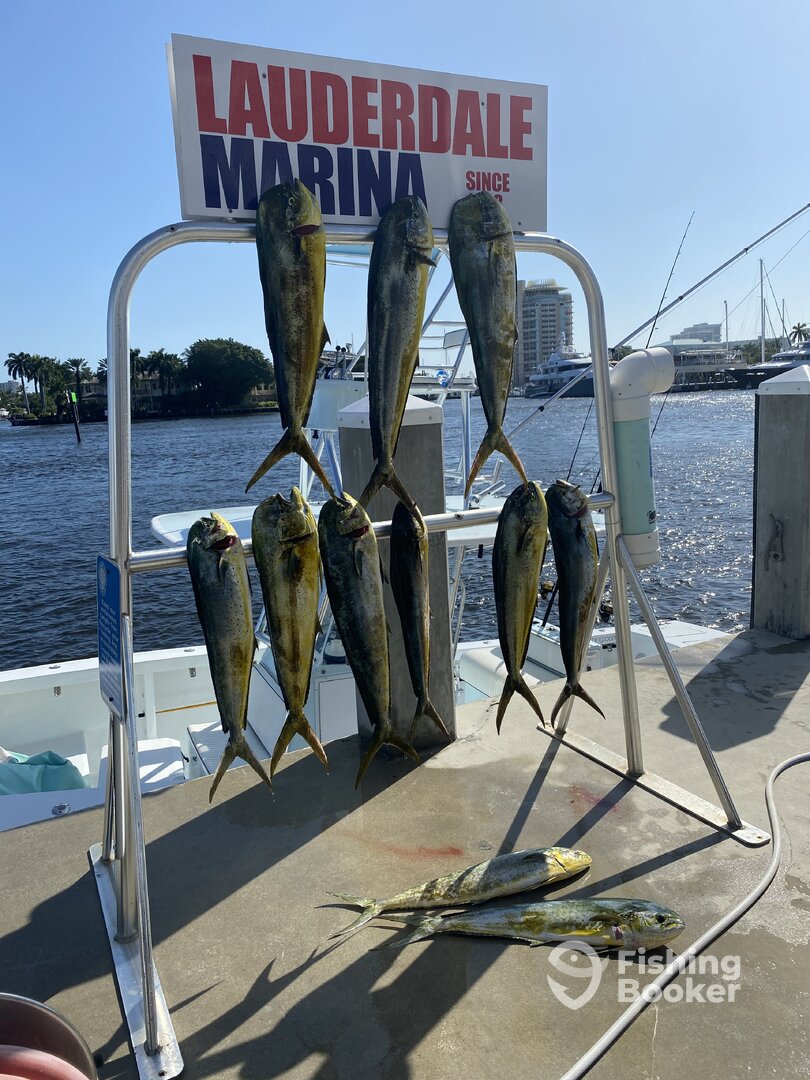 Fall Fishing Fort Lauderdale