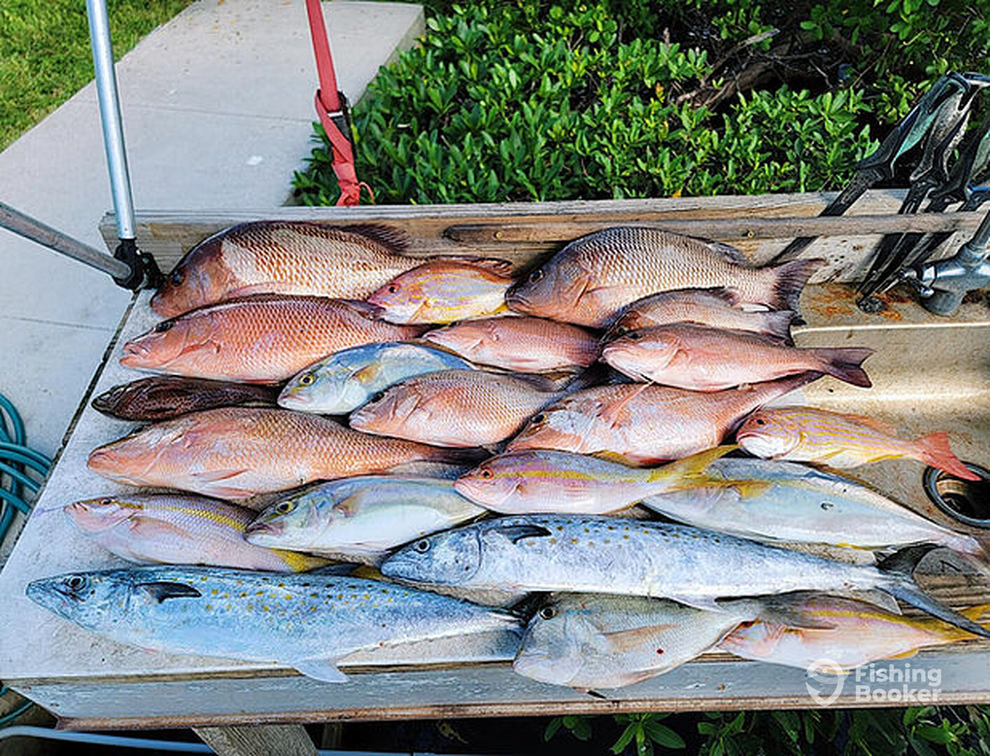 Apollo Beach Report Photo 0