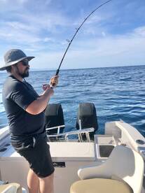 Puerto Vallarta Report Photo 1