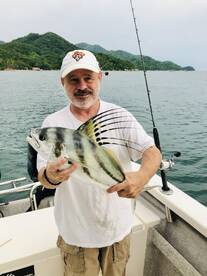 Puerto Vallarta Report Photo 1