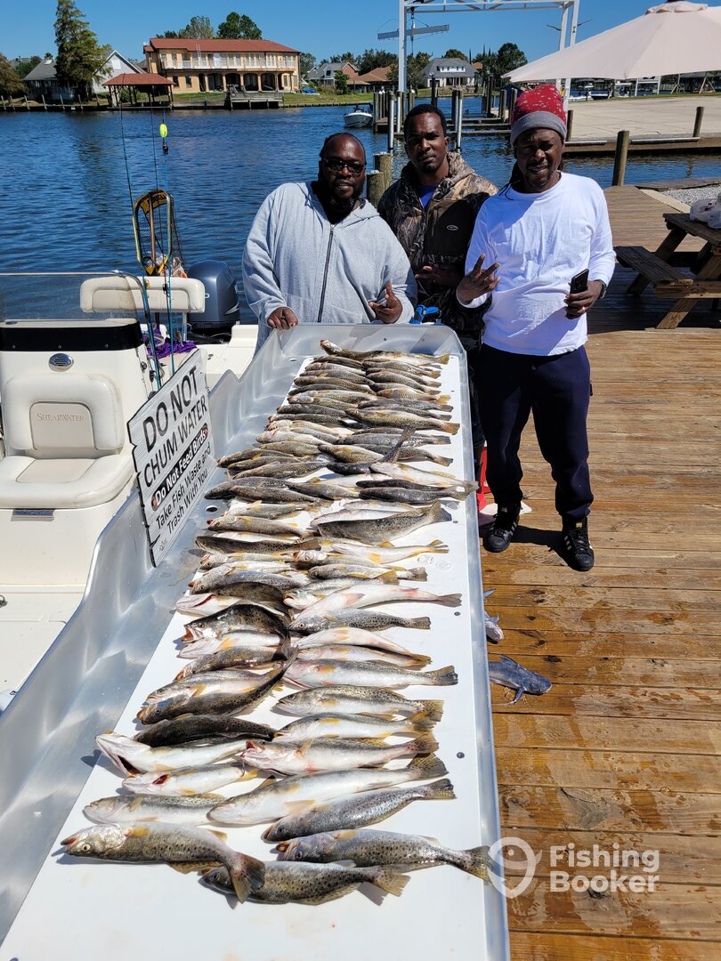 New Orleans Report Photo 0