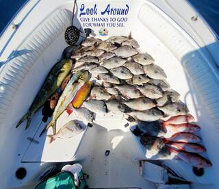 North Myrtle Beach Report Photo 1