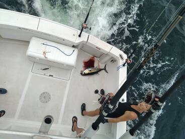 4 hr. Trolling for Black Fin