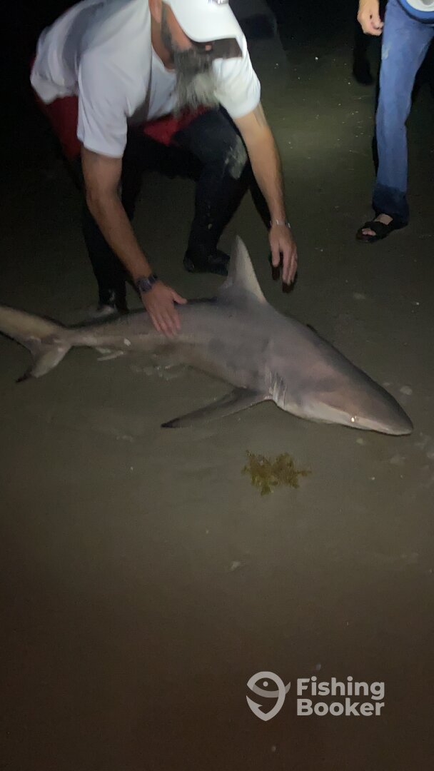 New Smyrna Beach Report Photo 0
