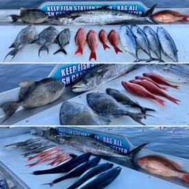 Shalimar Report Photo 1