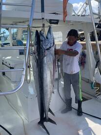 Sandys Report Photo 1