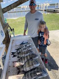 Sheepshead