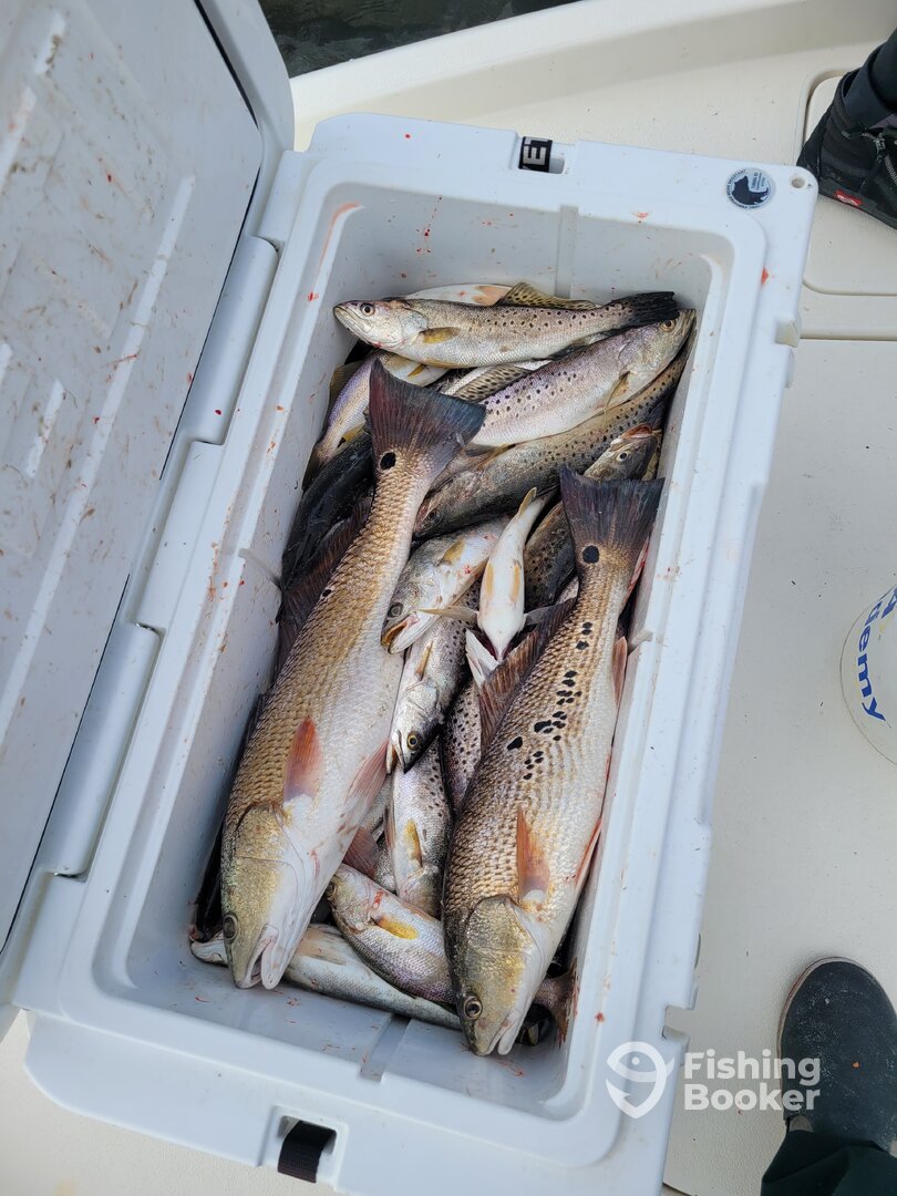 Slidell Report Photo 0