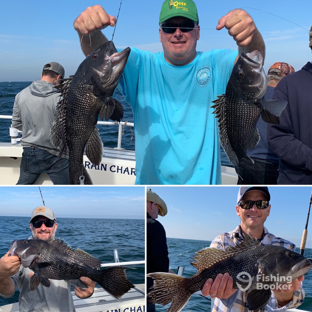 Montauk Report Photo 0