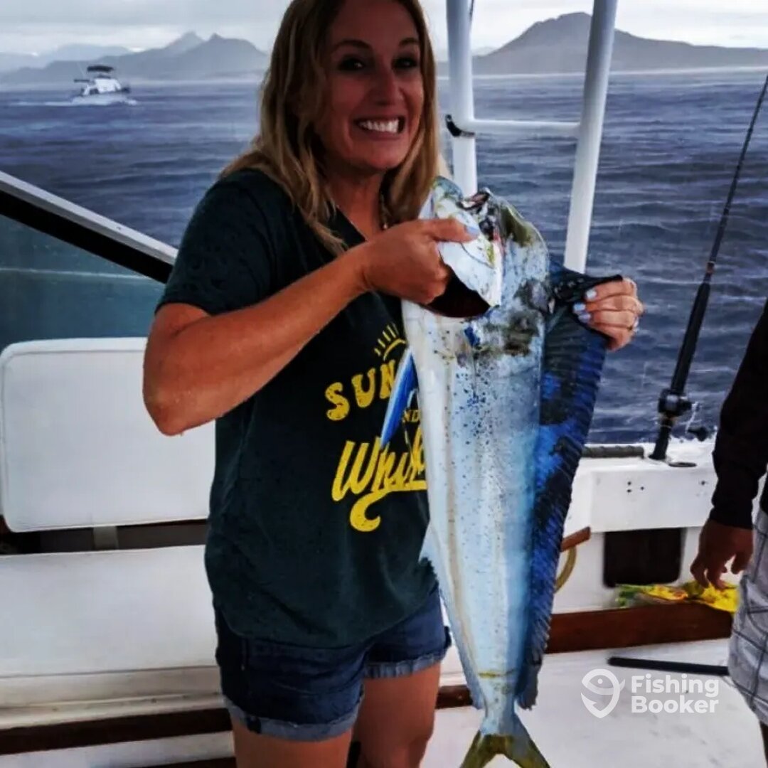 San Jose del Cabo Report Photo 0