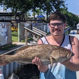 Fresh grouper for dinner