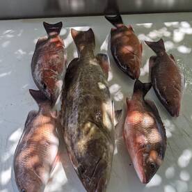 His wife says no fish, no more fishing