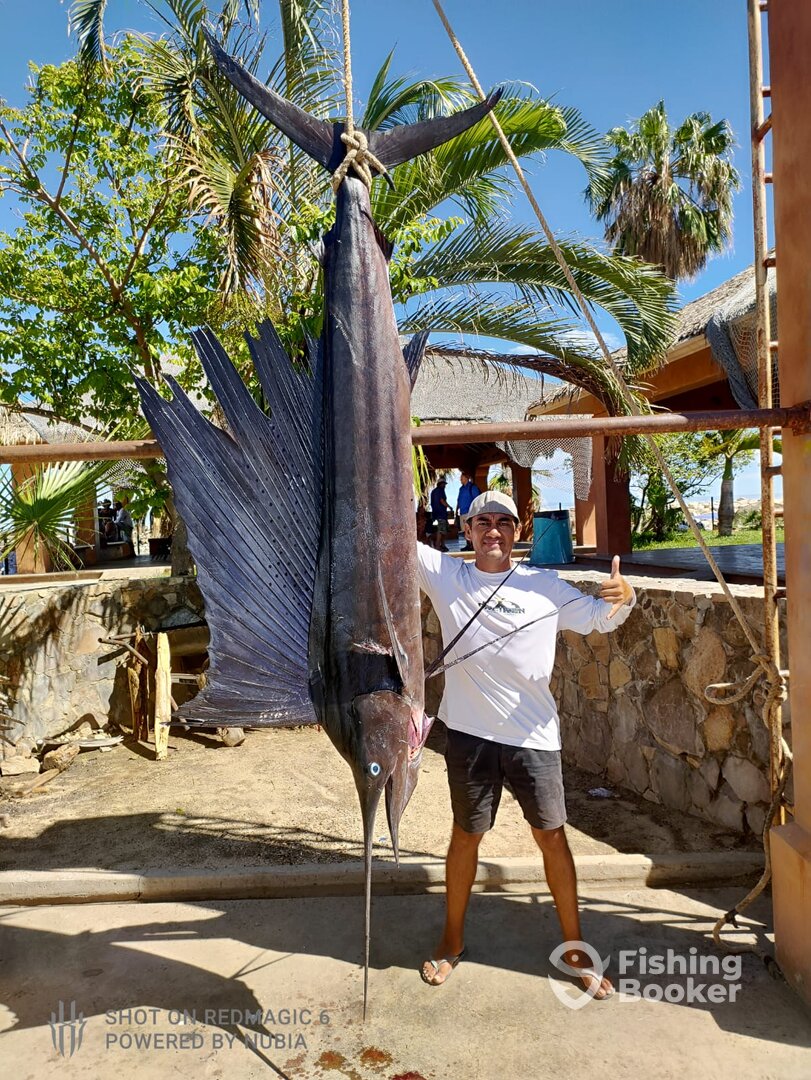 San Jose del Cabo Report Photo 0