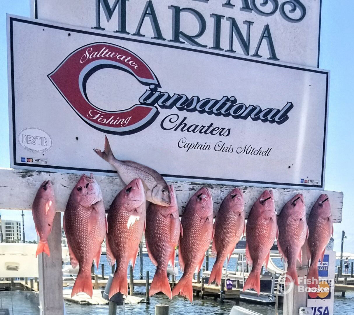 Destin Report Photo 0