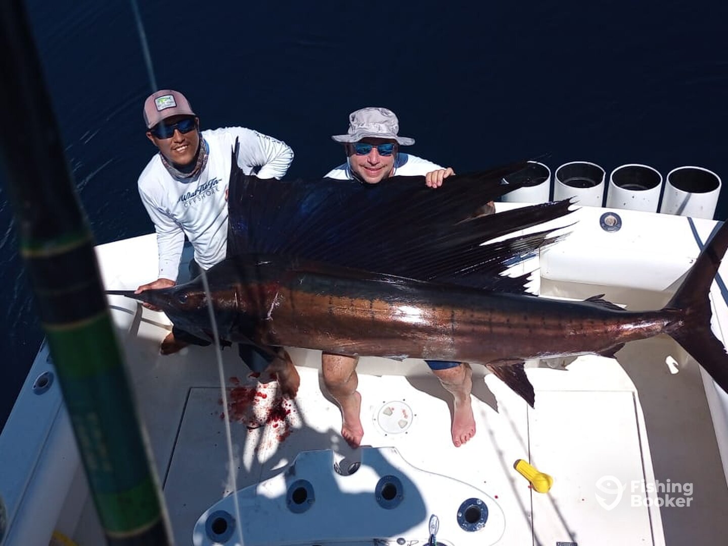 San Jose del Cabo Report Photo 0