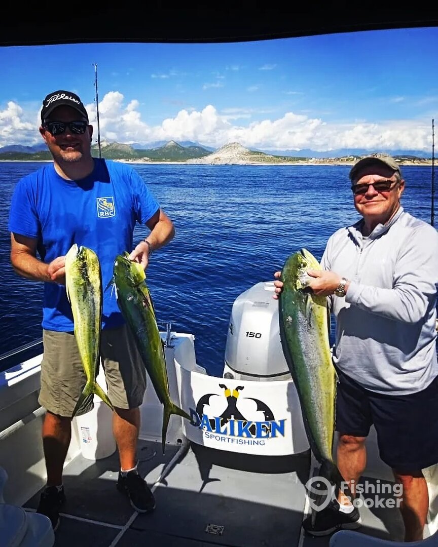 San Jose del Cabo Report Photo 0