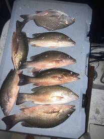 Port Canaveral Report Photo 2