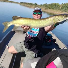 fall Muskie