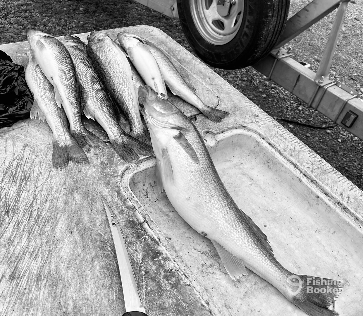 Lakeside Marblehead Report Photo 0