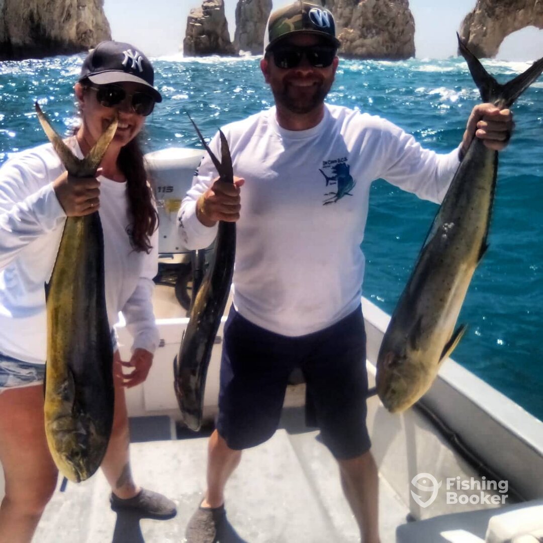 San Jose del Cabo Report Photo 0