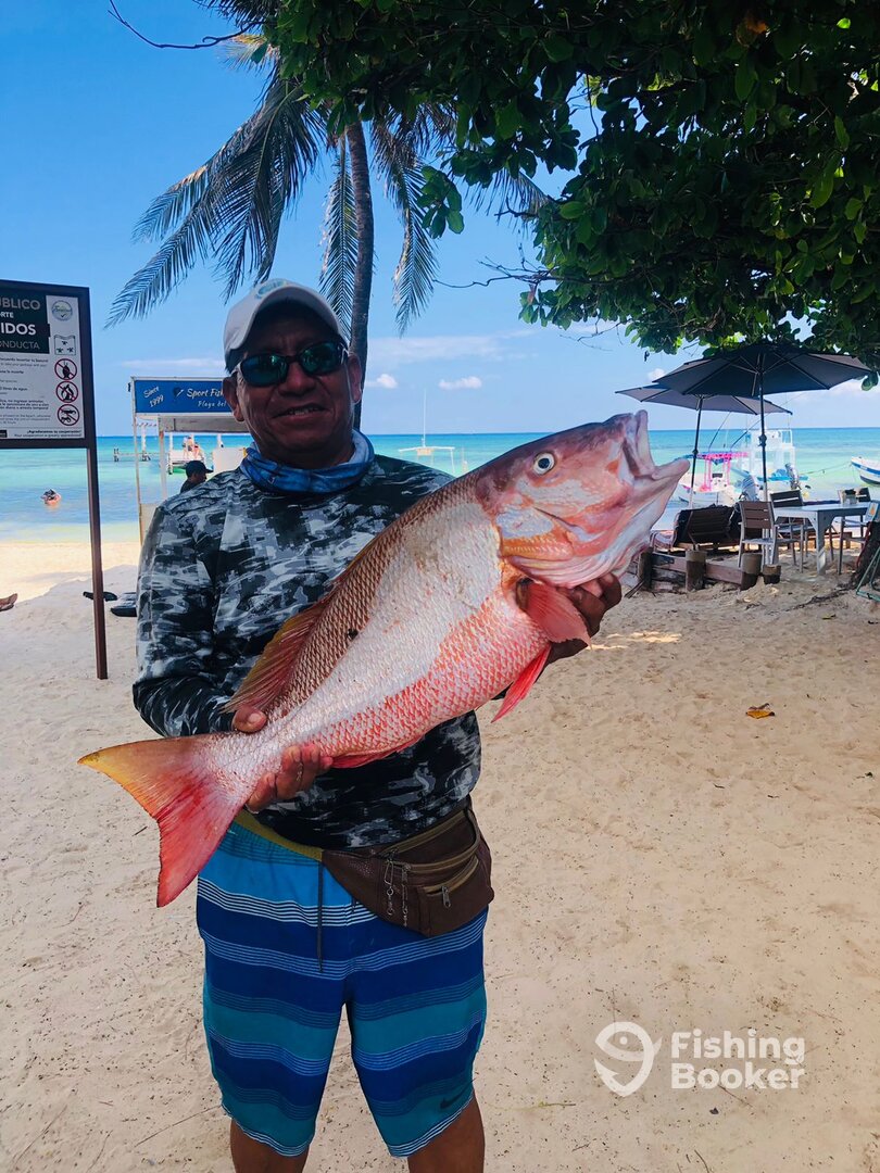 Playa Del Carmen Report Photo 0
