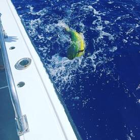 San Jose del Cabo Report Photo 2