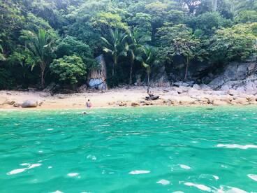 Puerto Vallarta Report Photo 2