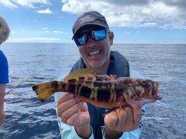 Fun Fishing Flipper II Madeira Big Game Fishing