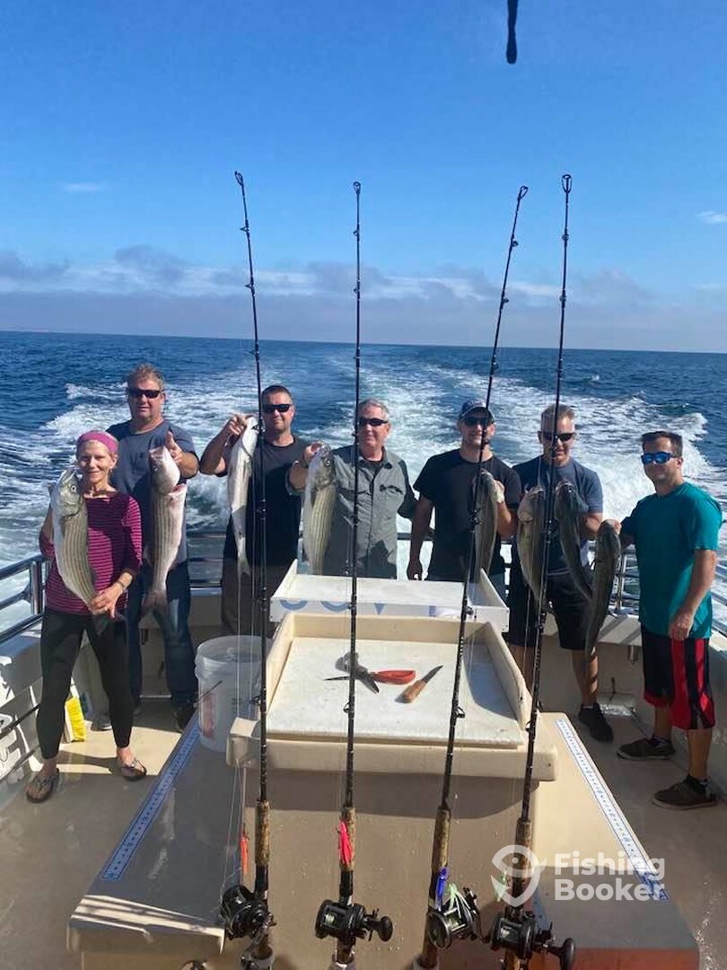 Montauk Report Photo 0