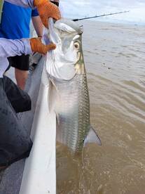 Paquera Report Photo 1