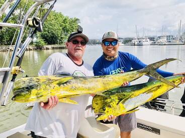 Puerto Vallarta Report Photo 1