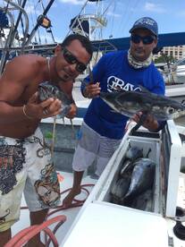 Puerto Vallarta Report Photo 2