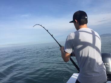 Big fish