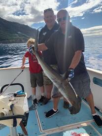 Flipper II Madeira Big Game Fishing Hammerhead 