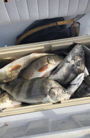 Port O'Connor Report Photo 2