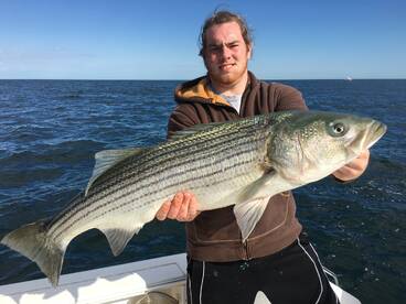 Bourne Report Photo 1