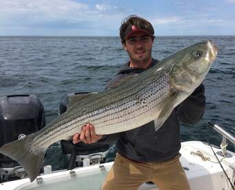 Bourne Report Photo 2