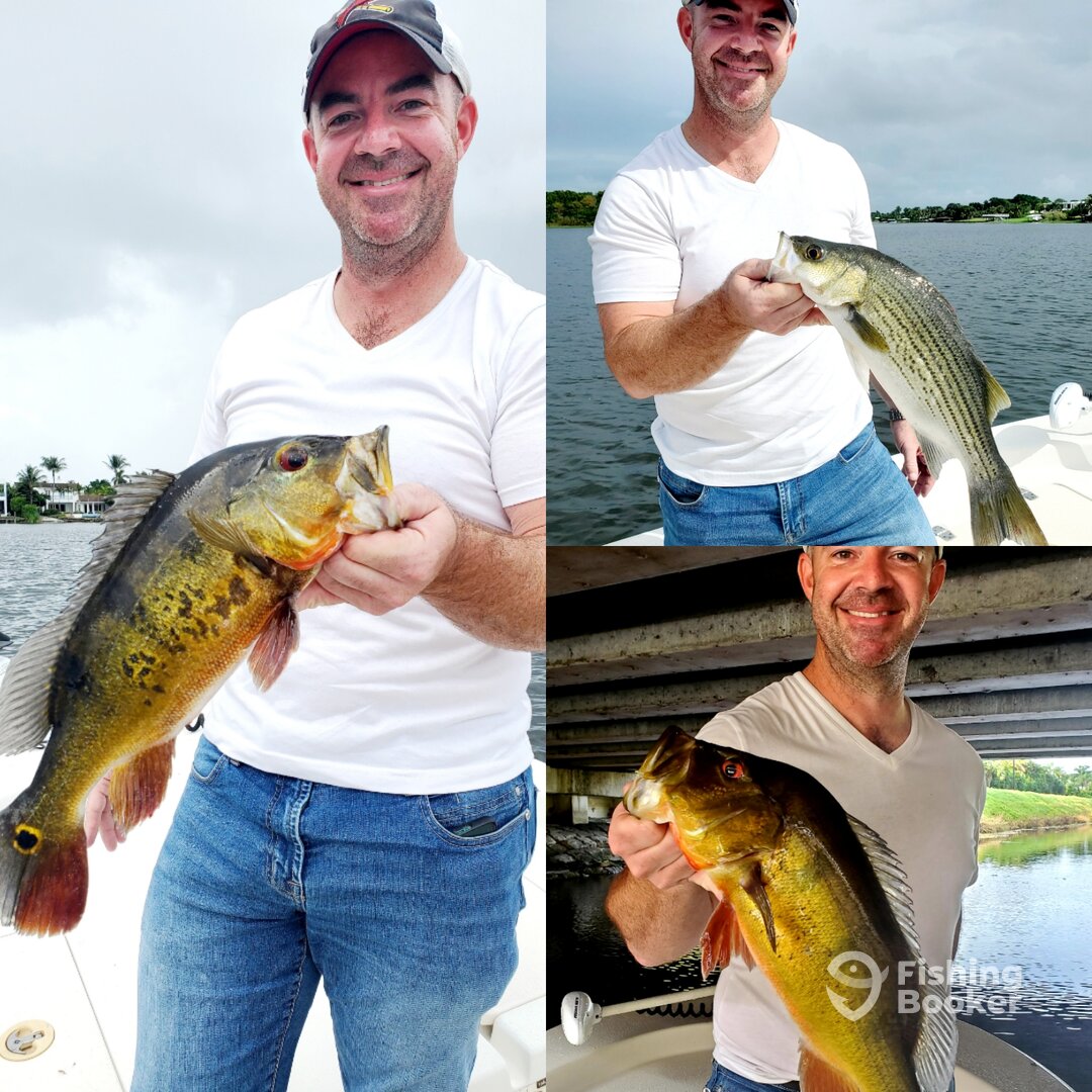 Delray Beach Report Photo 0