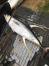 Moorea-Maiao Report Photo 2