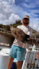 Tampa Report Photo 2