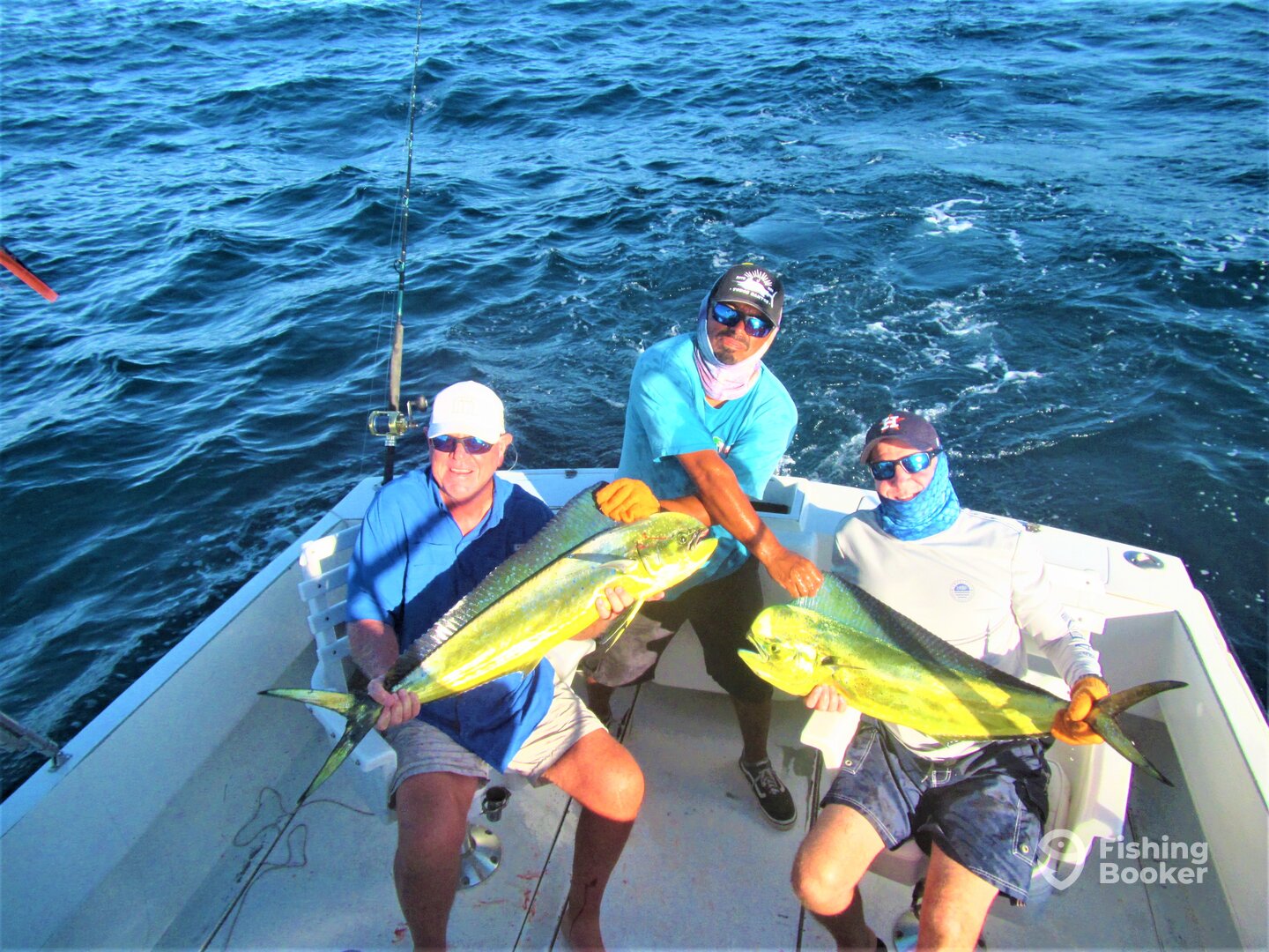 Cabo San Lucas Report Photo 0