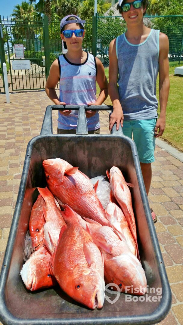 Orange Beach Report Photo 0