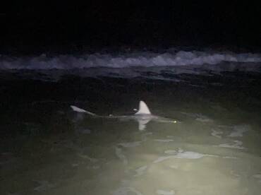 New Smyrna Beach Report Photo 1