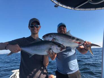 Amberjack and Redfish
