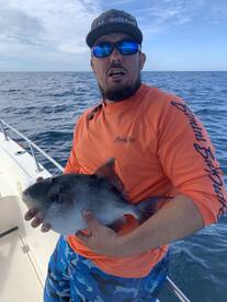 Triggerfish bite has been on Fire!!!
