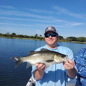 Crazy peacock action!
