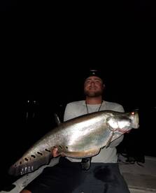 Night time clown action!