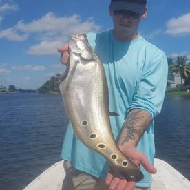 Delray Beach Report Photo 1