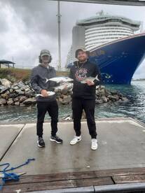 They were chewing this morning!!