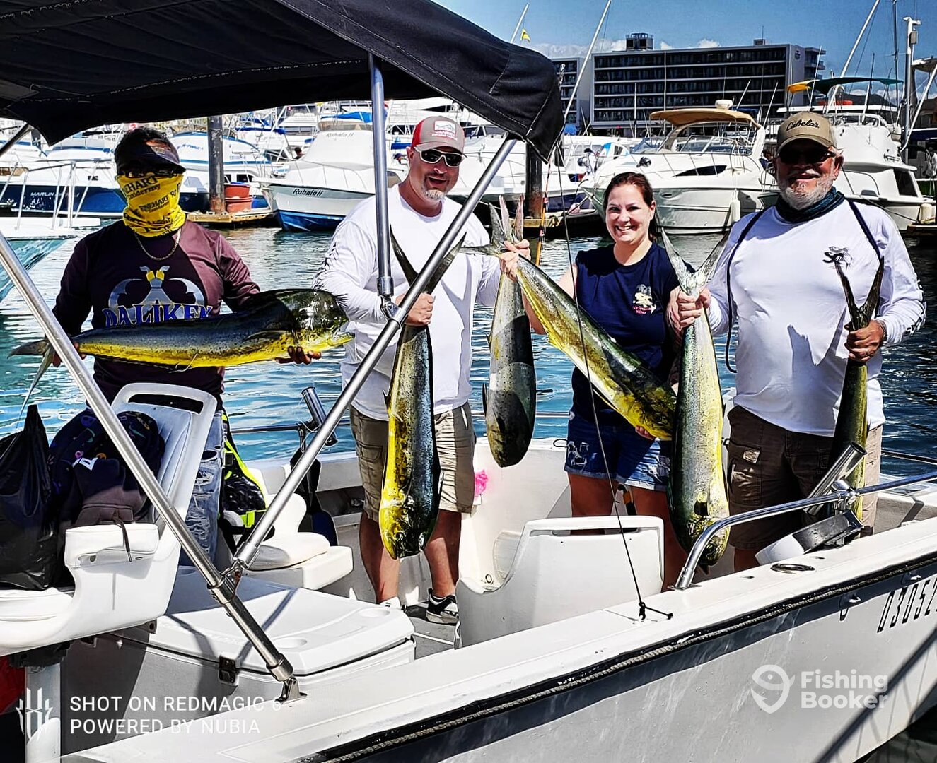 San Jose del Cabo Report Photo 0